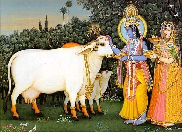 Janmashtami Gau Seva
